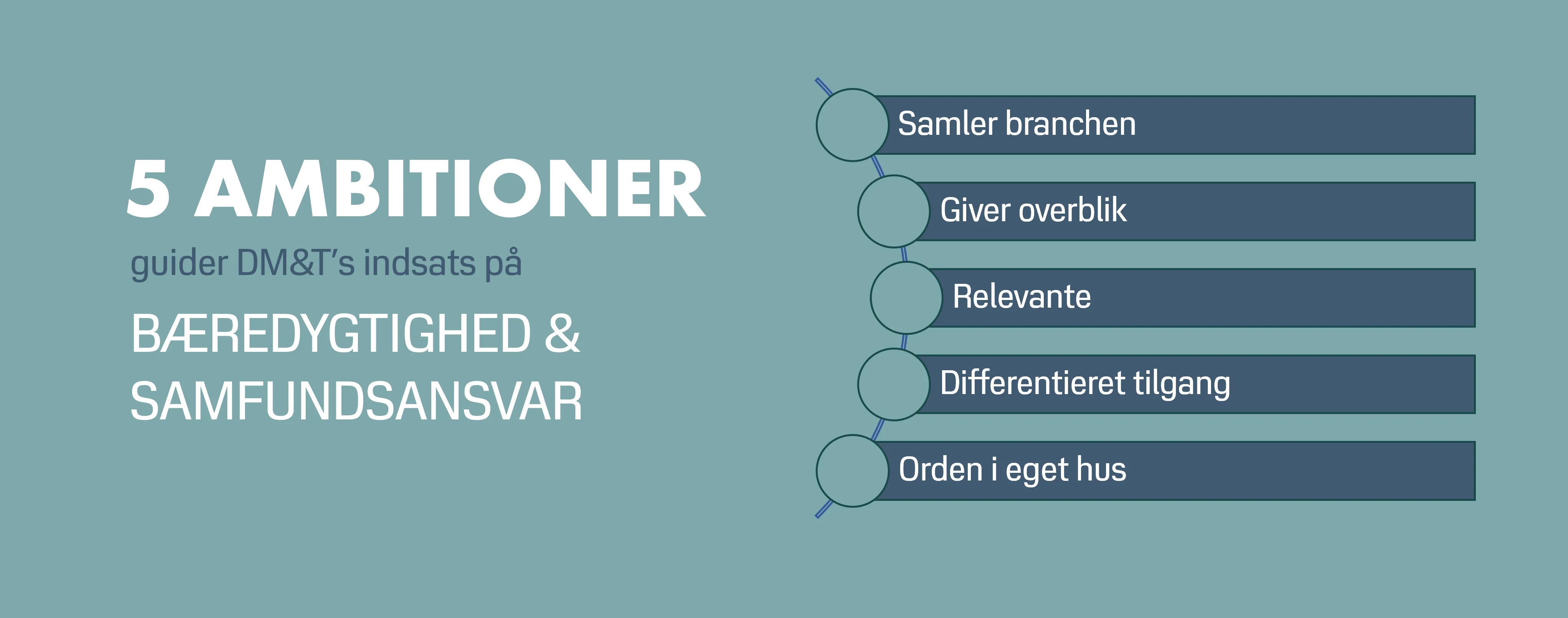 fem ambitioner bæredygtighed